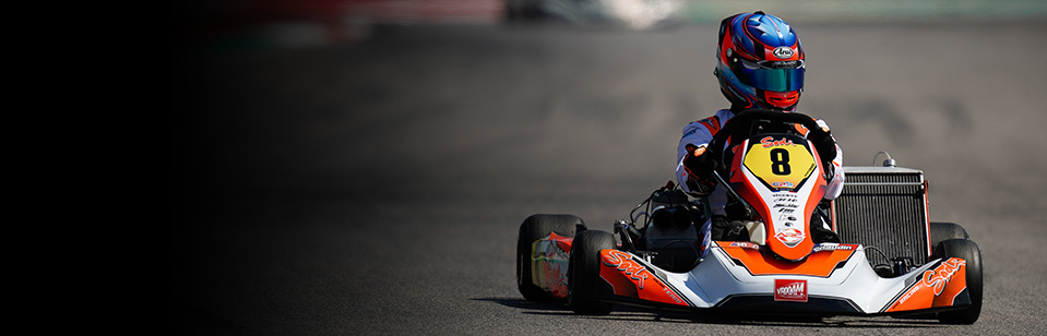 Leader Mondial De L Industrie Du Karting Sodikart